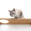 Wall Mounted Cat Shelf Cat shelves/bed Catastrophic Creations