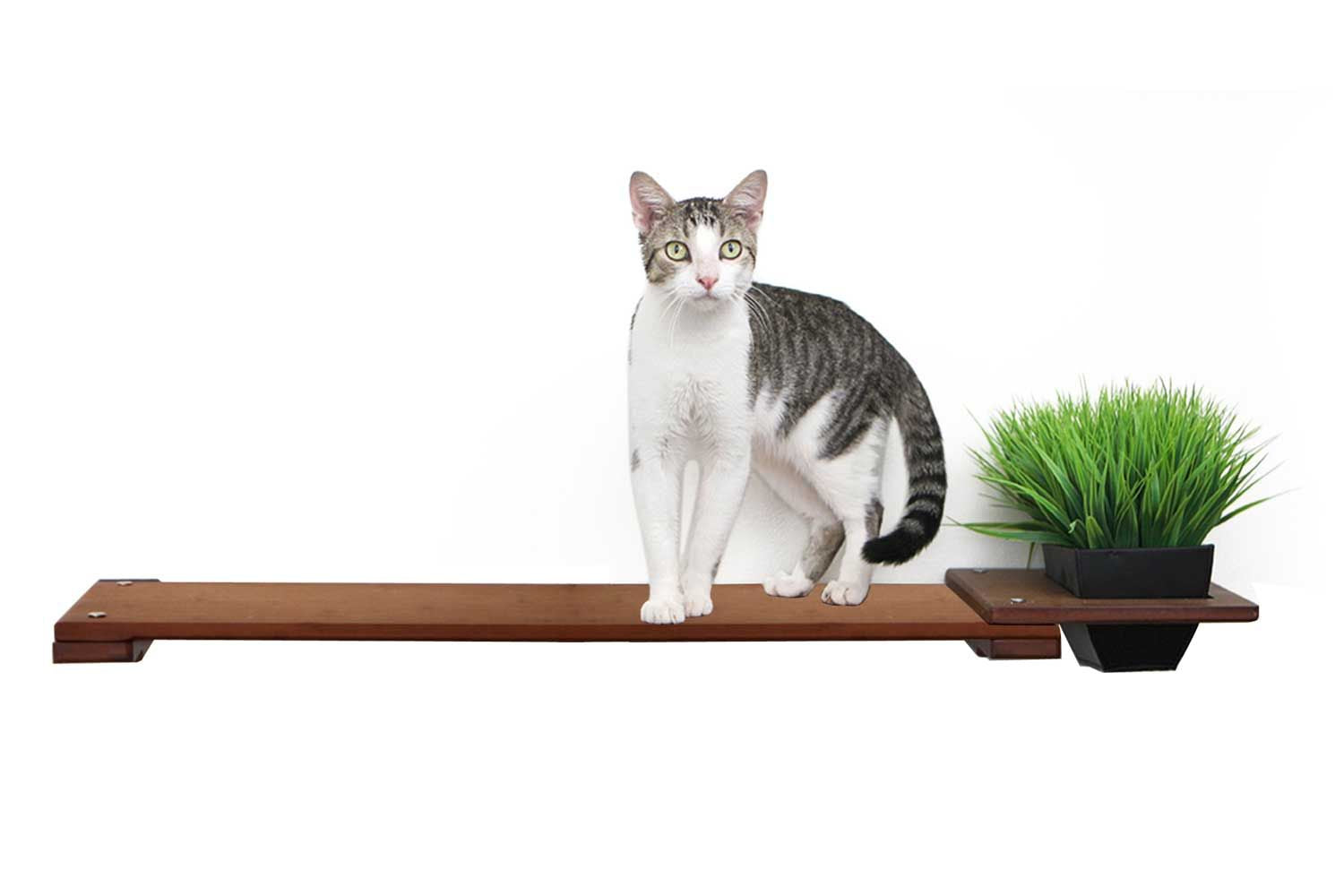 Cat Plant Stand for Wall English Chestnut Bamboo 34" Slotted Shelf Cat shelves/bed Catastrophic Creations