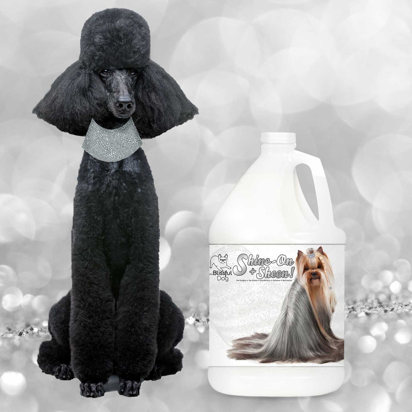 Shine-On+Sheen Dog De-Tangling Coat Spray GALLON SPRAY The Blissful Dog