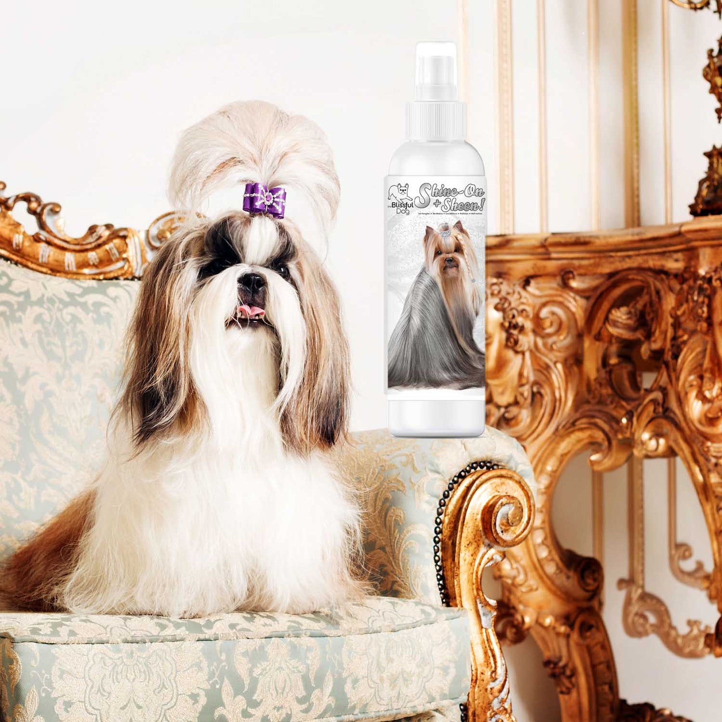 Shine-On+Sheen Dog De-Tangling Coat Spray SPRAY The Blissful Dog