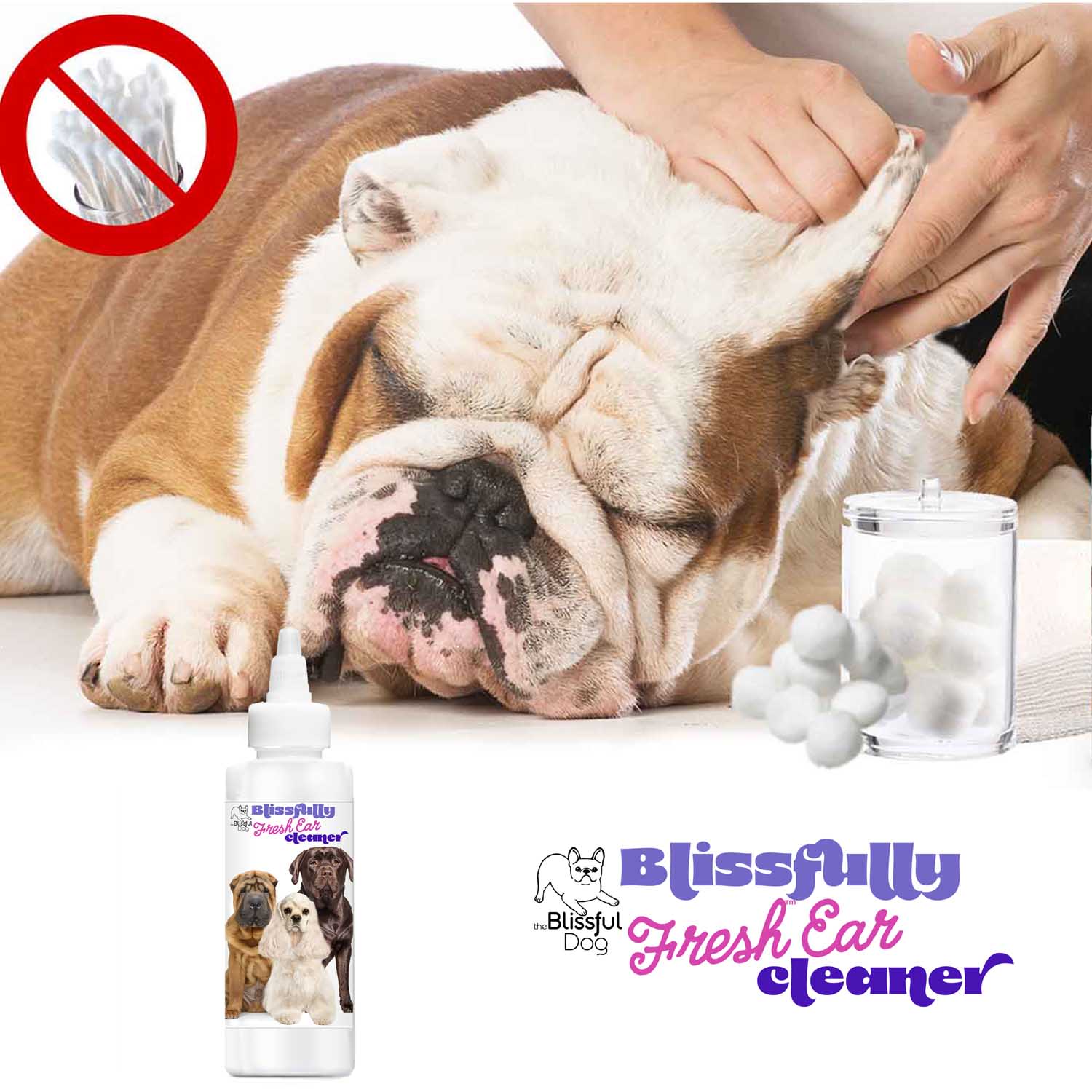 Blissfully Fresh™ Dog Ear Cleaner SPRAY The Blissful Dog