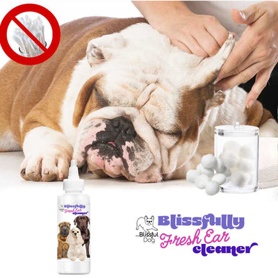 Blissfully Fresh™ Dog Ear Cleaner SPRAY The Blissful Dog