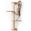 Wall Mounted Cat Climbing Pole - Sisal Cat Scratcher Catastrophic Creations