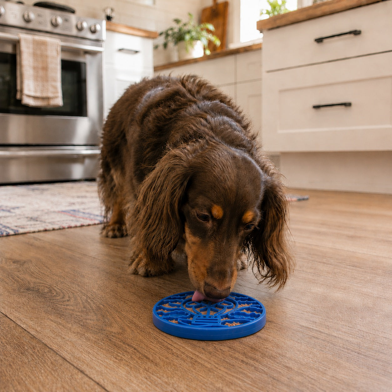 Air Nylon eCoin Lick Mat for Dogs - Durable Enrichment Toy | SodaPup ECOIN SodaPup/True Dogs, LLC