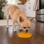 Earth eCoin Nylon Lick Mat for Dogs | USA Made Enrichment Toy | SodaPup ECOIN SodaPup/True Dogs, LLC