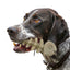 Fish Bone Nylon Dog Toy for Aggressive Chewers | USA Made | SodaPup Nylon Dog Toys SodaPup/True Dogs, LLC