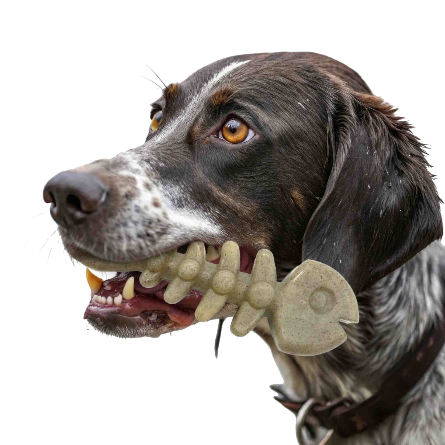 Fish Bone Nylon Dog Toy for Aggressive Chewers | USA Made | SodaPup Nylon Dog Toys SodaPup/True Dogs, LLC
