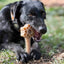 Honey Bone Dental Flower Tower - Indestructible Nylon Dog Chew Toy XL | USA Nylon Dog Toys SodaPup/True Dogs, LLC