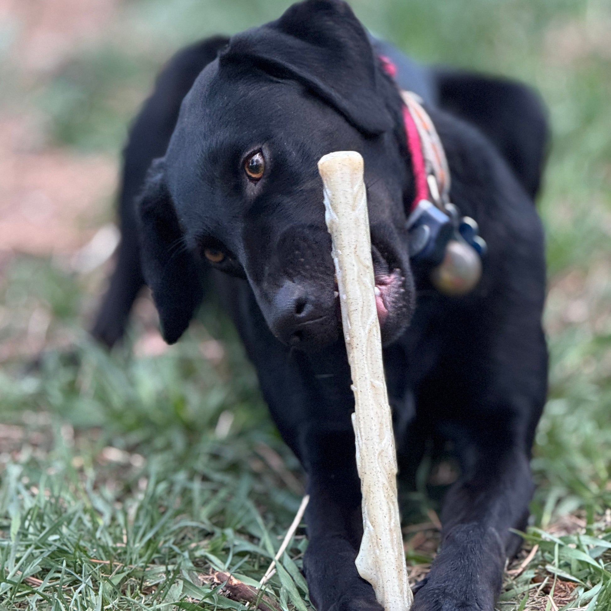 Durable Nylon Chew Stick for Power Chewers | Indestructible Dog Toy USA Nylon Dog Toys SodaPup/True Dogs, LLC