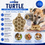 Turtle Nylon Chew Toy - Ultra-Durable Enrichment Toy for Power Chewers USA Nylon Dog Toys SodaPup/True Dogs, LLC