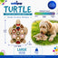 Turtle Nylon Chew Toy - Ultra-Durable Enrichment Toy for Power Chewers USA Nylon Dog Toys SodaPup/True Dogs, LLC