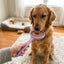 eStick Hand-Held Dog Enrichment Target Training Toy - Interactive Lick Stick | USA Made EMAT SodaPup/True Dogs, LLC