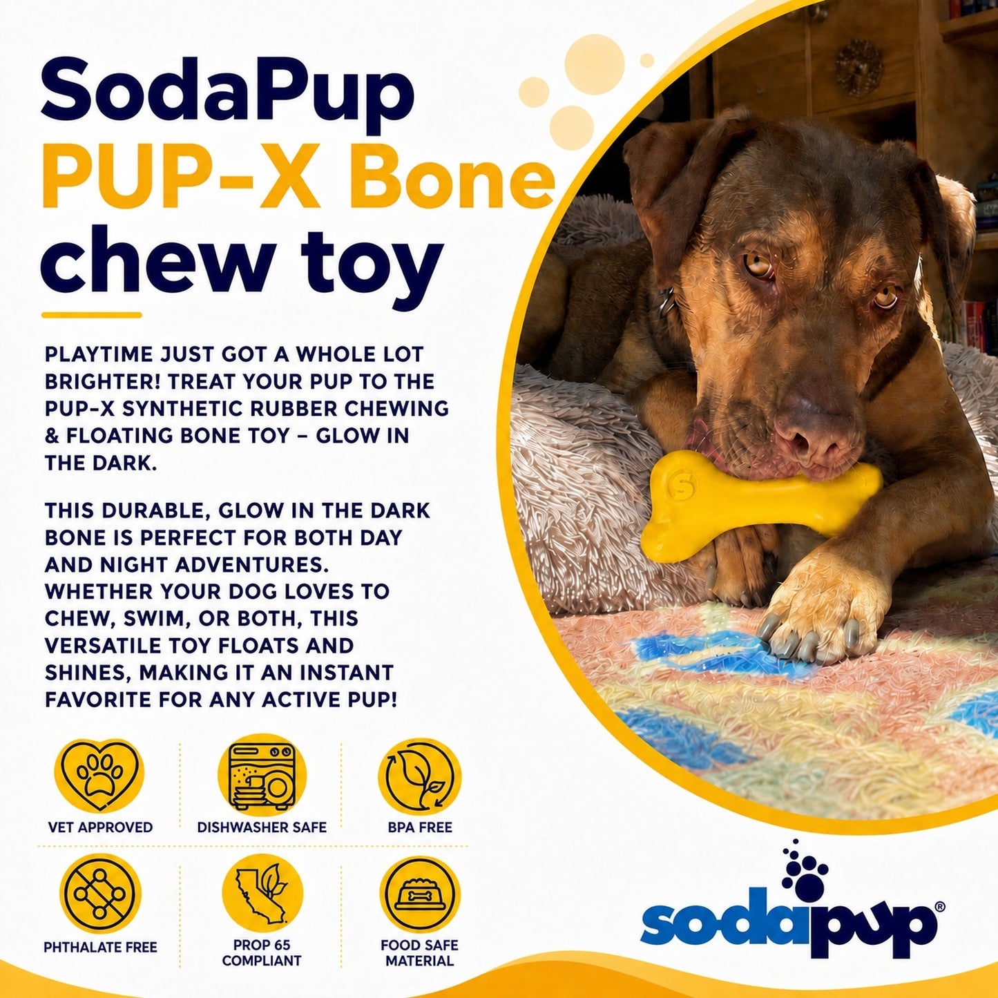 PUP-X Rubber Bone Dog Toy - Durable, Floats, Chew Toy for Large Dogs | USA Rubber Dog Toys SodaPup/True Dogs, LLC