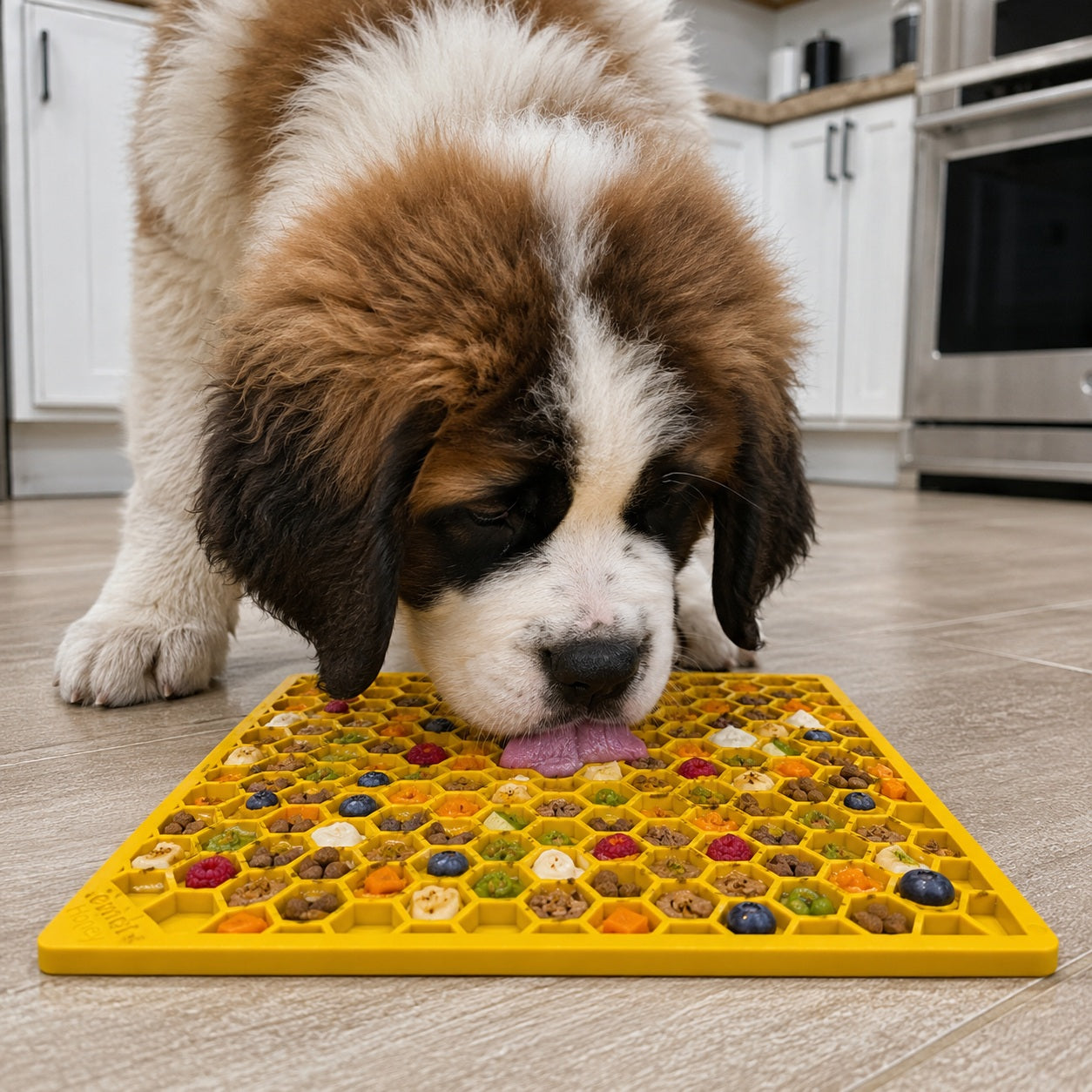 Honeycomb eMat - Enrichment Lick Mat for Dogs and Cats | eMat Enrichment Toy for Anxiety Relief | SodaPup EMAT SodaPup/True Dogs, LLC