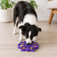 Mandala eTray Shallow Slow Feeder Dog Bowl for Enrichment | USA Made ETRAY SodaPup/True Dogs, LLC
