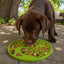 Tree of Life eMat - Enrichment Lick Mat For Dogs and Cats - With Suction Cups | Tree Design | USA Made EMAT SodaPup/True Dogs, LLC