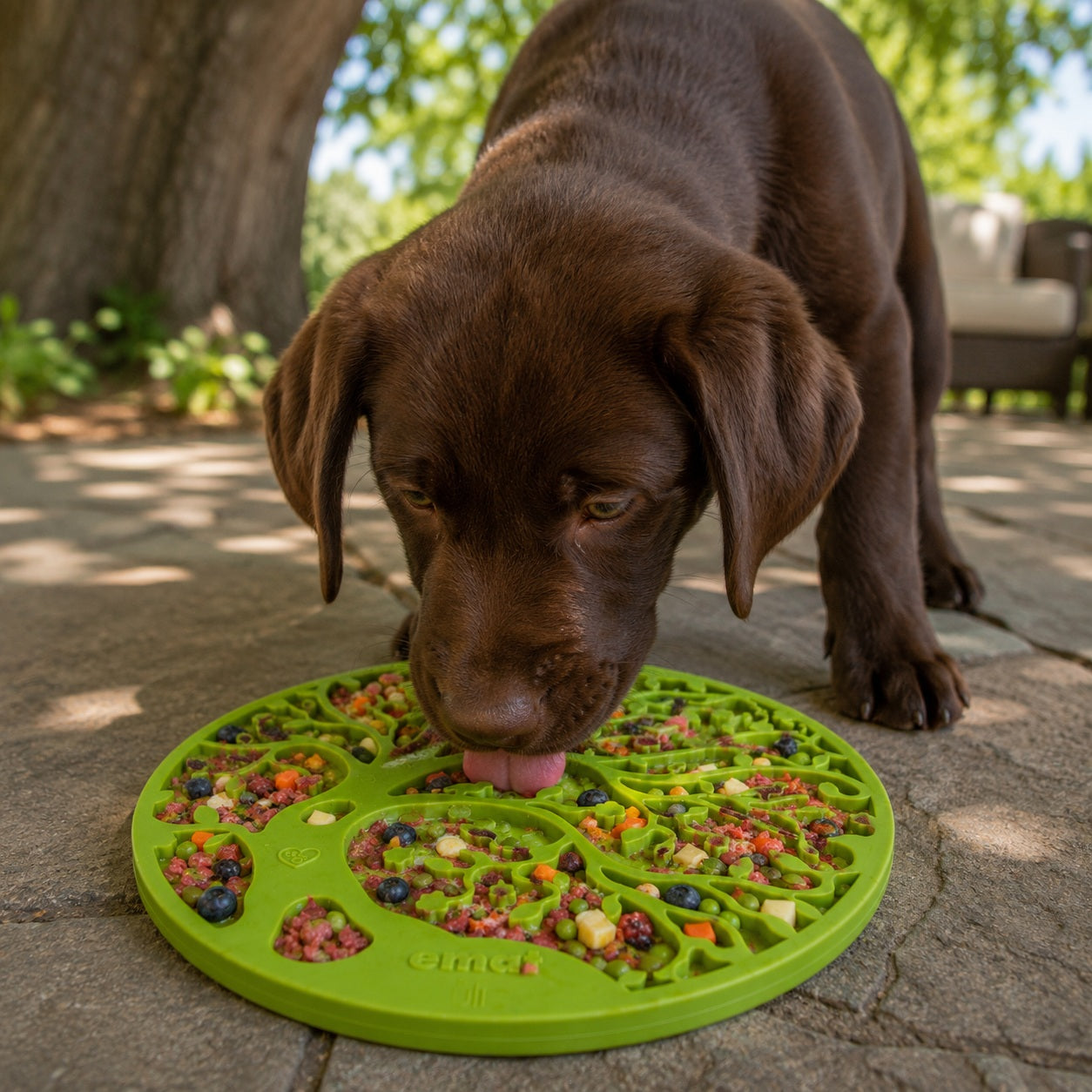 Tree of Life eMat - Enrichment Lick Mat For Dogs and Cats - With Suction Cups | Tree Design | USA Made EMAT SodaPup/True Dogs, LLC