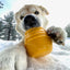 Honey Pot Dog eCup Treat Dispenser | Durable PUP-X Rubber Enrichment Toy | USA Made Rubber Dog Toys SodaPup/True Dogs, LLC