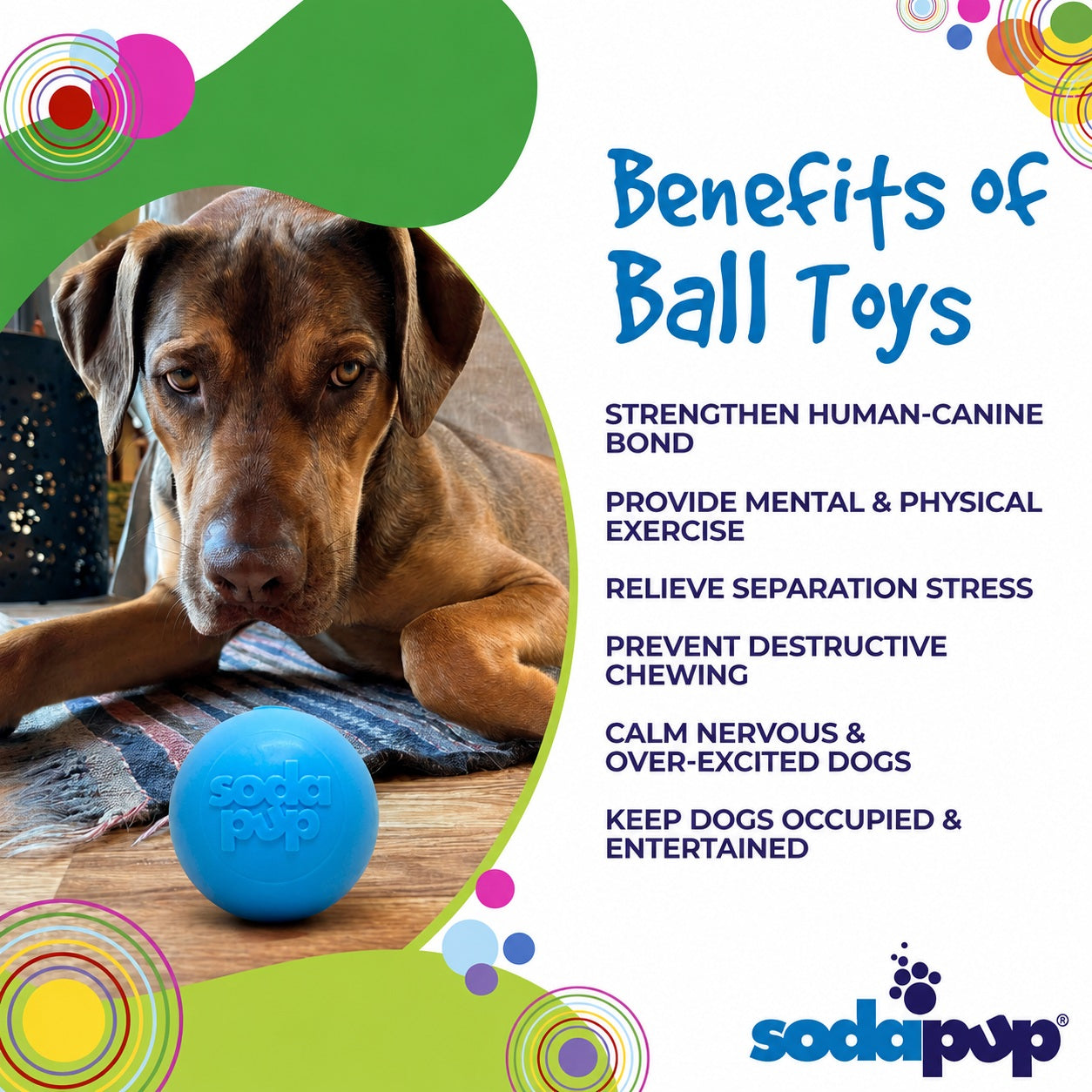 Squeak Ball - Durable Squeaky Dog Toy, Floats, Chew Toy | USA Made Rubber Dog Toys SodaPup/True Dogs, LLC