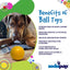 Squeak Ball - Durable Squeaky Dog Toy, Floats, Chew Toy | USA Made Rubber Dog Toys SodaPup/True Dogs, LLC
