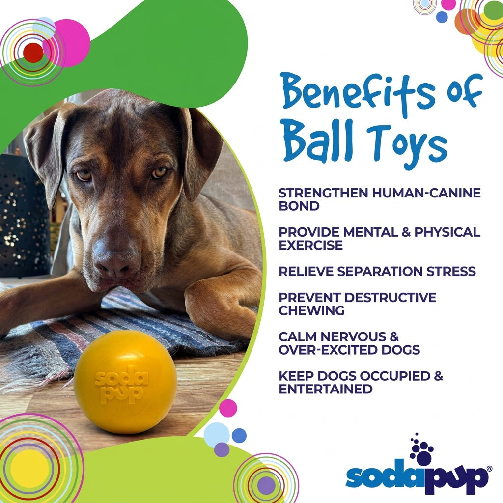 Squeak Ball - Durable Squeaky Dog Toy, Floats, Chew Toy | USA Made Rubber Dog Toys SodaPup/True Dogs, LLC