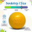 Squeak Ball - Durable Squeaky Dog Toy, Floats, Chew Toy | USA Made Rubber Dog Toys SodaPup/True Dogs, LLC