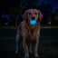 Strobe Ball Light-Up Dog Toy - Durable Floating Chew Ball | Made in USA Rubber Dog Toys SodaPup/True Dogs, LLC