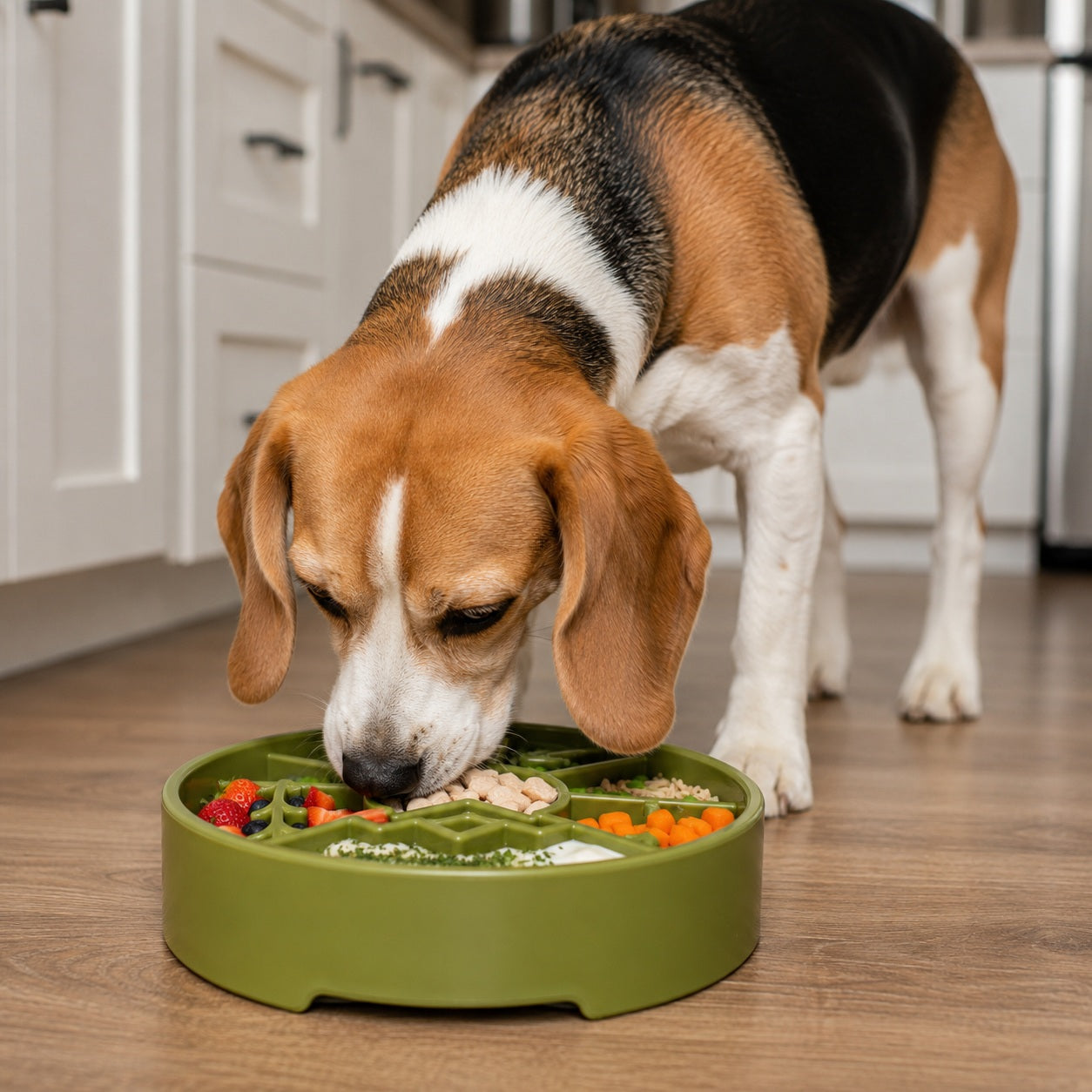 Great Outdoors eBowl - Slow Feeder Dog Bowl & Enrichment | USA Made EBOWL SodaPup/True Dogs, LLC