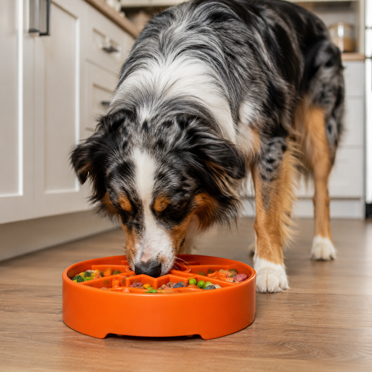 Great Outdoors eBowl - Slow Feeder Dog Bowl & Enrichment | USA Made EBOWL SodaPup/True Dogs, LLC