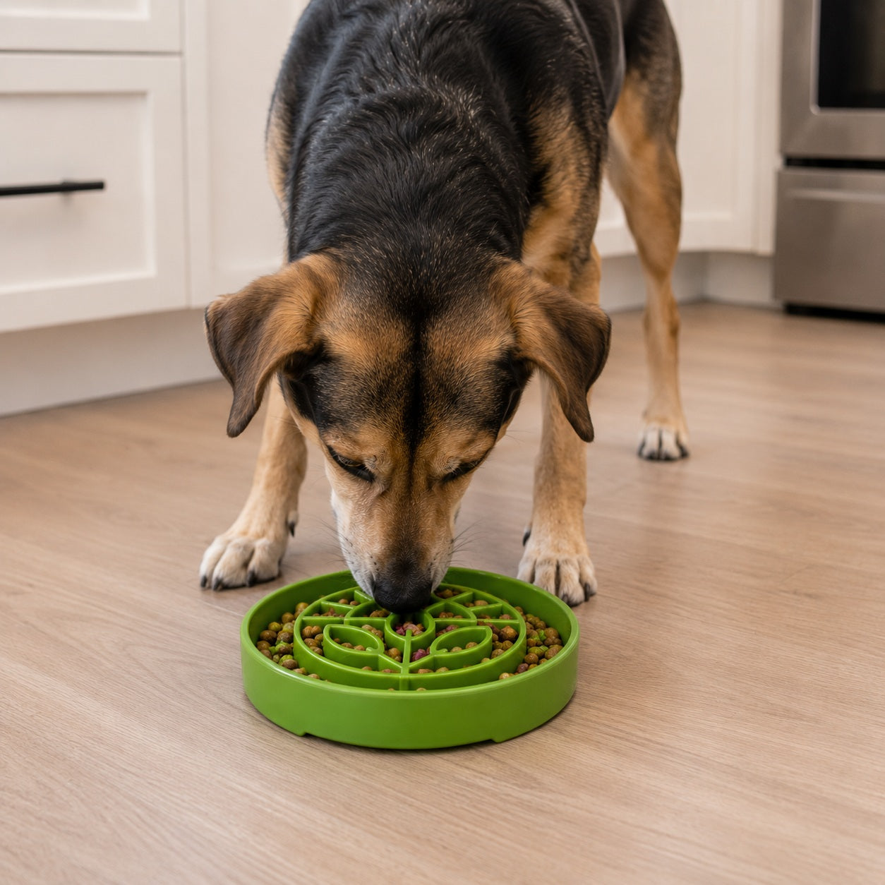Garden Design eTray - Shallow Slow Feeder Dog Bowl for Enrichment | USA ETRAY SodaPup/True Dogs, LLC