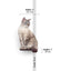 Cat Climbing Shelf Cat shelves/bed Catastrophic Creations