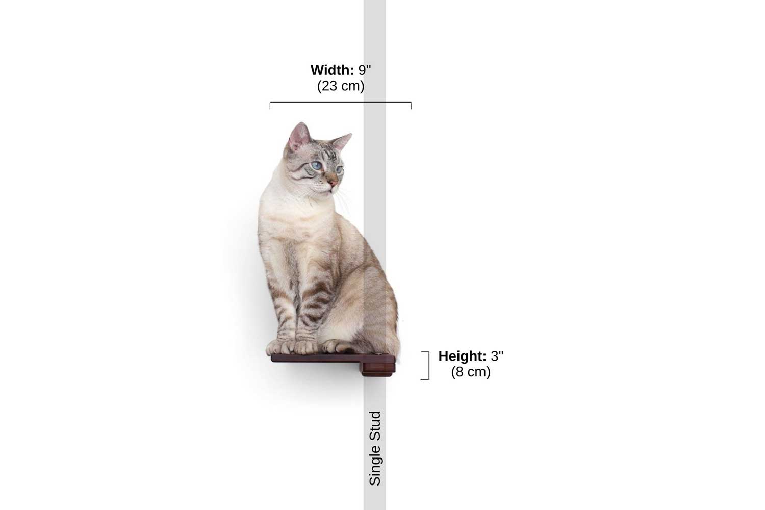 Cat Climbing Shelf Cat shelves/bed Catastrophic Creations