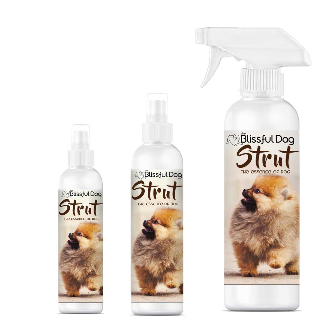 Strut Dog Cologne for the Ruler of the Kingdom 4 oz Cologne The Blissful Dog