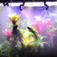 360° Adjustable Reptile Misting Nozzle – High-Pressure Fogger for Terrariums, Greenhouses, and Rainforest Enclosures Thrive Ecosystems