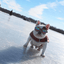 K9 Sport Shades - Dog Goggles Accessories K9 Sport Sack