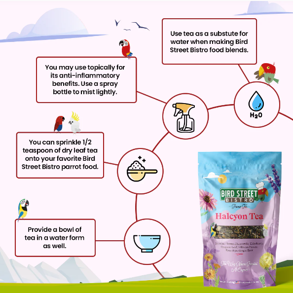 Parrot Food Super-Pack Bird Food Bird Street Bistro