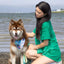Sea Turtle Swim Dog Bandana bandana Aria the Fox