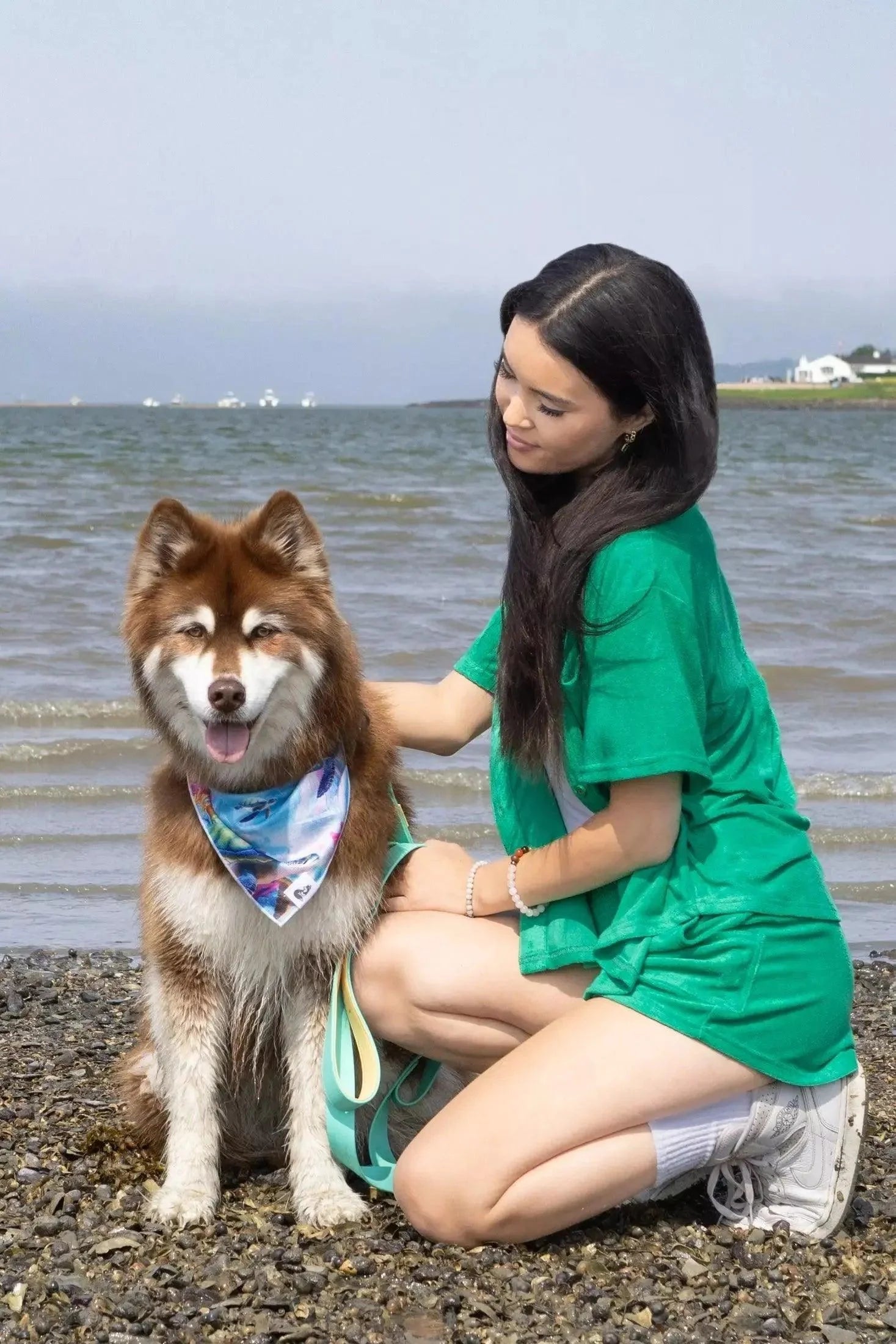 Sea Turtle Swim Dog Bandana bandana Aria the Fox