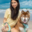 Seaside Sips Dog Bandana & Matching Keychain bandana Aria the Fox