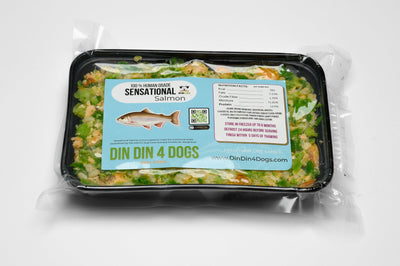 Sensational Salmon - case includes 24, 8oz meals Dog Food Din Din 4 Dogs