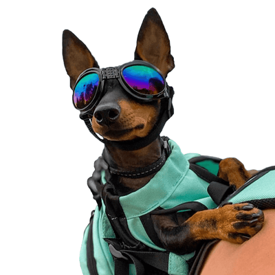 K9 Sport Shades - Dog Goggles Accessories K9 Sport Sack