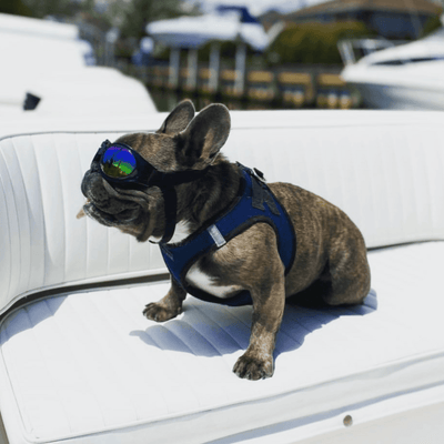 K9 Sport Shades - Dog Goggles Accessories K9 Sport Sack