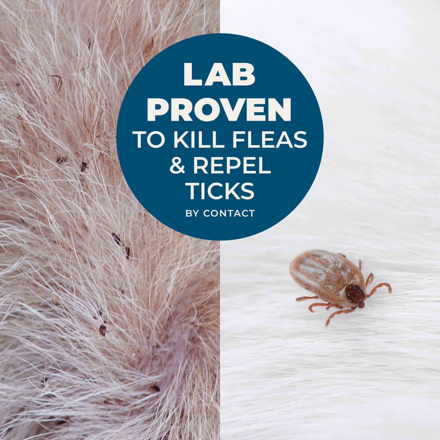 Flea & Tick Shampoo sale Wondercide