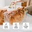 Flea & Tick Shampoo sale Wondercide