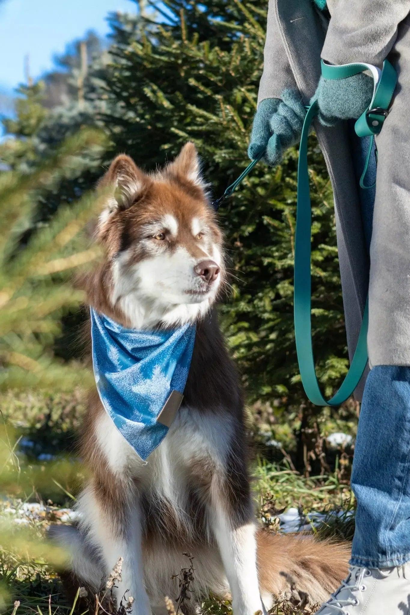 Siberian Spruce Dog Bandana bandana Aria the Fox