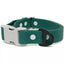Siberian Spruce Waterproof Dog Collar Spruce Gray Collar Aria the Fox