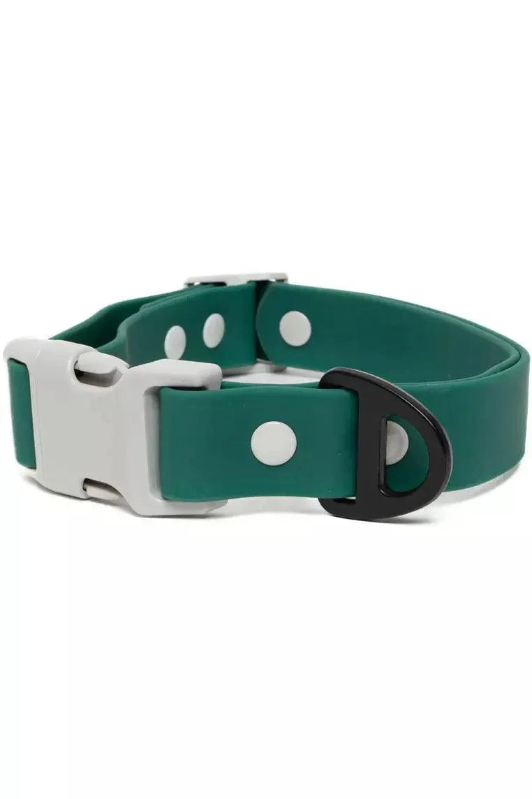 Siberian Spruce Waterproof Dog Collar Spruce Gray Collar Aria the Fox