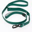 Siberian Spruce Waterproof Dog Leash Spruce Gray Leash Aria the Fox