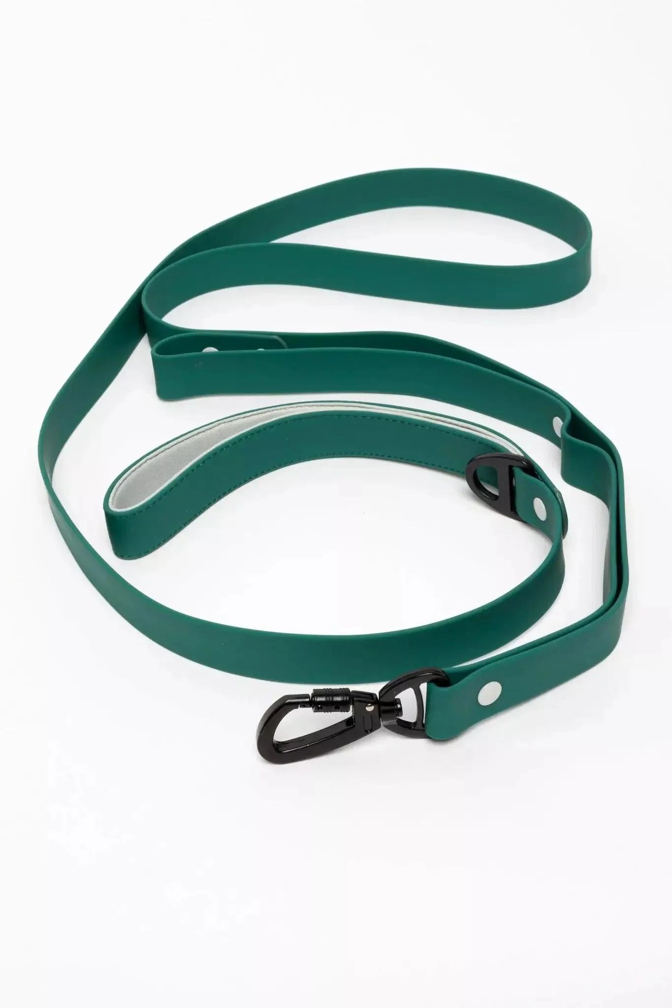 Siberian Spruce Waterproof Dog Leash Spruce Gray Leash Aria the Fox