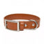 Sierra Sunrise Vegan Leather Dog Collar Sequoia Collar Aria the Fox